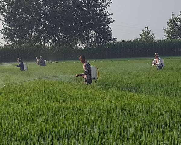 種植基地